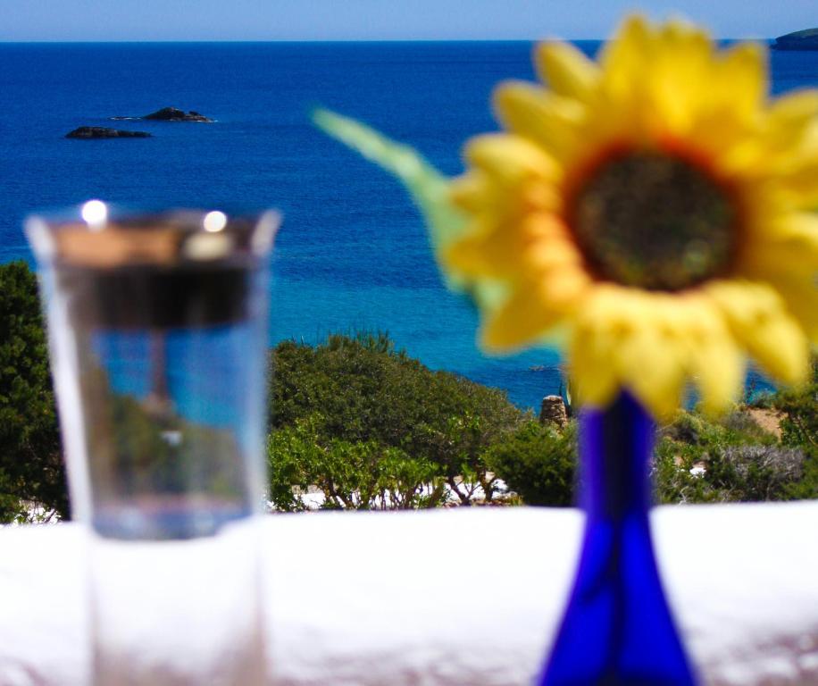 Arenal D'Or Leilighet Playa DPlaya Des Figueral Rom bilde